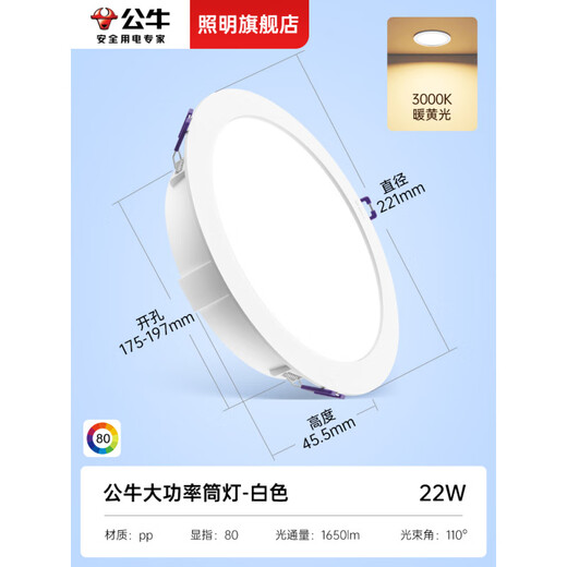 LED嵌入式110mm筒灯大瓦数客厅孔灯12公分家用天花灯桶灯  大光面15W 开孔140-15565