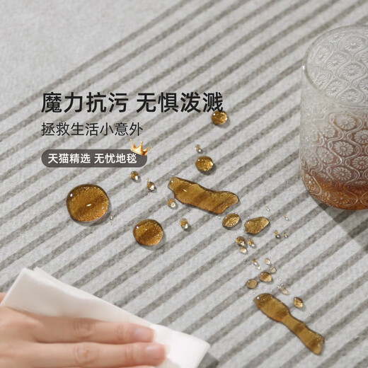 Tapis de salon wenshiou Pas de lavage et facile à prendre soin de style minimaliste 2025 Nouveau canapé de luxe clair