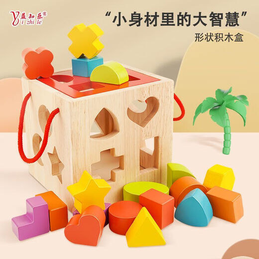 Lernbausteine ​​für Kinder, zusammengebautes Spielzeug, formpassende Intelligenzbox für Kleinkinder und Babys, Früherziehung, 2–6 Jahre alte Säuglinge, 18-Loch-Intelligenzbox