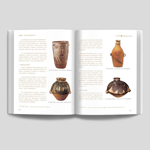 纹饰集中国古代器物图案之美 郑军 正版中国青年出版社 彩陶青铜器瓷器的发展历史和造型特点300余件珍贵文物1300余幅纹饰复原线稿 纹饰集中国古代器物图案之美 物图案之美