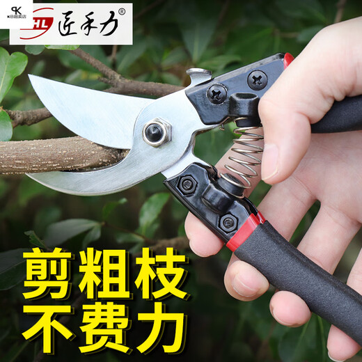 修剪树枝剪刀强力粗枝剪省力家用SK5钢园林园艺剪刀果树工具 14116不锈钢修枝剪+黑色超速锯