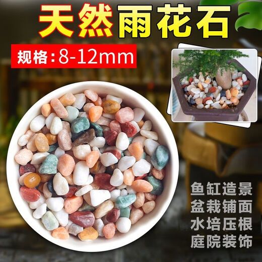 Runhua New Year's five-color small stone hydroponic tulip bottom flower cultivation stone succulent paving stone five-flower stone 8-12mm half Jin Jin is equal to 0.5 kg