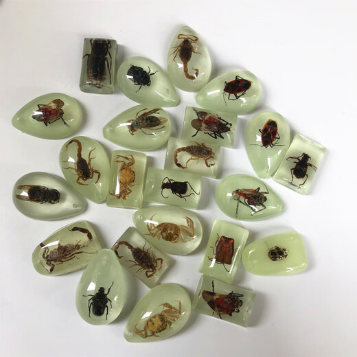 Fat Donglai's same amber insect specimen carefully selected scorpion blind box children's gift textbook luminous scorpion 50mm 20~