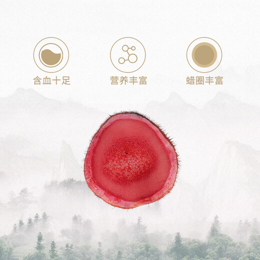 To Youth Sika Deer Fresh Antler Tablets 50g of Bloody First Stubble Two-Port Antler Tablets Soup Soaked to Wine Tonic