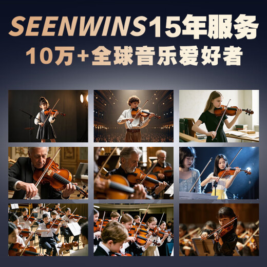 圣维斯SW100手工实木演奏小提琴初学者儿童成人考级入门比赛乐团 MATTE（哑光工艺） 4/4身高150CM以上