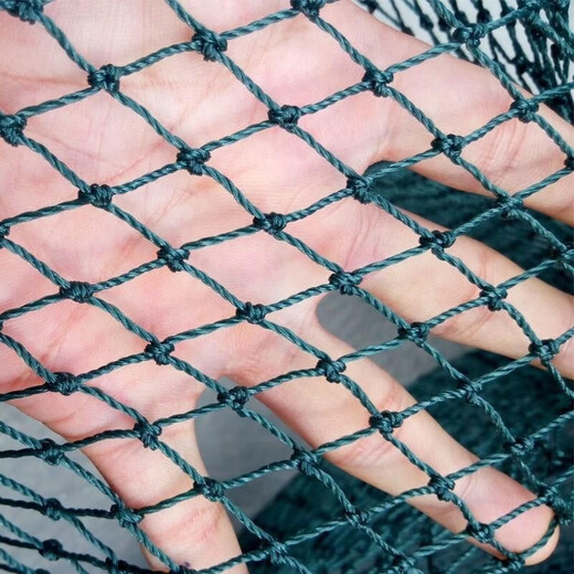 Chicken net, chicken net, fishing net, breeding net, fence net, nylon vegetable garden fence, climbing vine grid, chicken net, protective fish net, thickened 18 strands, 3 cm thickened ribs, 2 meters high and 100 meters long