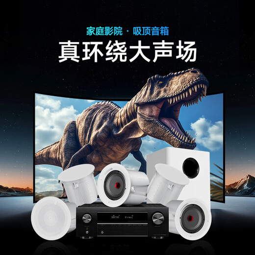 八雷（BALEY） 家庭影院音响天龙功放套装家用客厅电视投影环绕音重低音箱吸顶音响嵌入式蓝牙吸顶音箱 18【天龙5.2功放+Y6×5+S8低音炮】全套