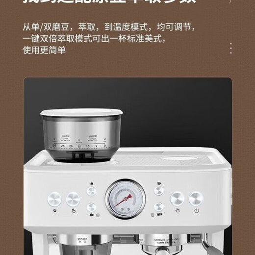 Baicui PE3899 dual boiler Italian full semi-automatic coffee machine household milk frothing machine grinding machine small machine