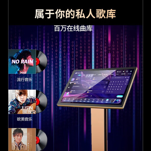Muxi Leisi Outdoor KTV Song Order Machine Integrated Leike tragbare mobile Bluetooth -Musik -Score -Leser Full -Ausrüstung für das Singen im Heimkino -Karaoke -Audioverstärker Leike singt 19x Home Song Machine 19,5 Zoll (schwarze und weiße Farbnoten) 1T Festplatte