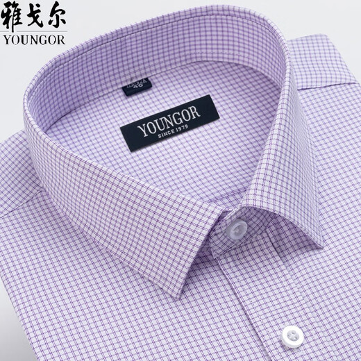 Yager long-sleeved shirt for men 2025 spring and autumn pure cotton free ironing middle-aged casual high-end striped formal shirt 6623 38 Suggested 70-95 Jin [Jin equals 0.5 kg]