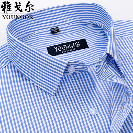 CEO雅戈尔男士短袖衬衫夏季纯棉商务休闲职业装抗皱免烫中年条纹衬衣 DX6636 39 建议【120-130斤】
