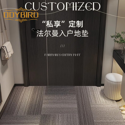德国工艺入户门地垫高级感进门门口脚垫防滑入门门外门垫玄关地毯 灰颜-15271 120cm*180cm