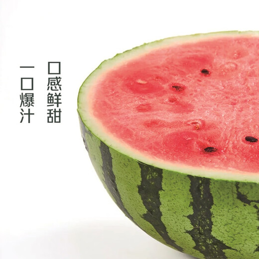 
[Direct pick from the origin] Kirin cream watermelon about 4.5kg