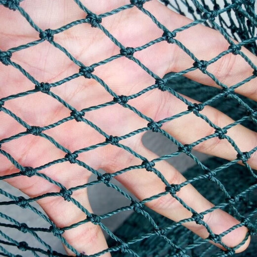 Chicken net, chicken net, fishing net, breeding net, fence net, nylon vegetable garden fence, climbing vine grid, chicken net, protective fish net, thickened 18 strands, 3 cm thickened ribs, 2 meters high and 100 meters long