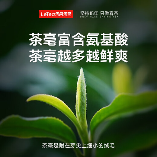Lepin le Tee Biluochun Grüner Tee 2025 Neue Tee vor dem Ming Ming Sonderer Frühlings Tee Tender Sprossen Tee Kaltbrauen Tee Reliefe Sommer 250g Geschenkstüte