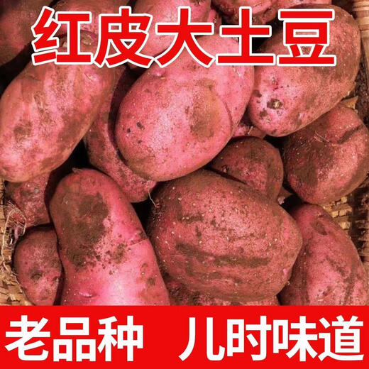 Hebei red-skinned large potatoes, fresh yellow-heart potatoes, freshly dug potatoes, ground eggs, potato noodles, hot pot wholesale, red-skinned large potatoes, 5Jin Jin is equal to 0.5kg, net weight, single fruit 150g+