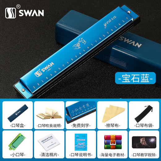 天鹅（SWAN）24孔单音口琴c调儿童小学生初学者入门带音符简谱标注口风琴 24孔 单音c调银色+初学全套品