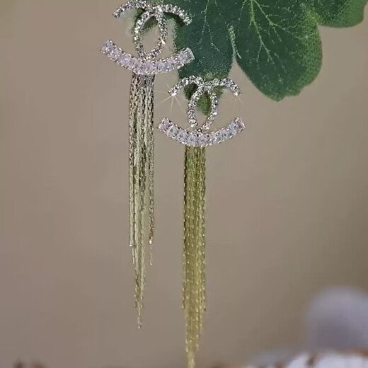 Idel's temperament tassel earrings 2025 new trendy high-end internet celebrity light luxury face-modifying silver needle earrings for women E4014 double C tassel earrings