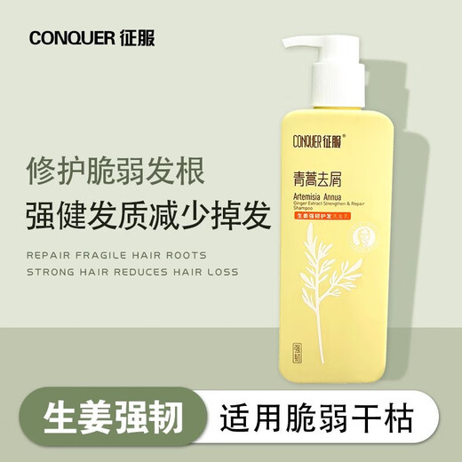 Conquée Artemisia Annua Shampooing Anti-Ith, Contrôle anti-fil, Contrôle d'huile, shampooing au gingembre, acariens, gingembre, shampooing fort, 728 ml