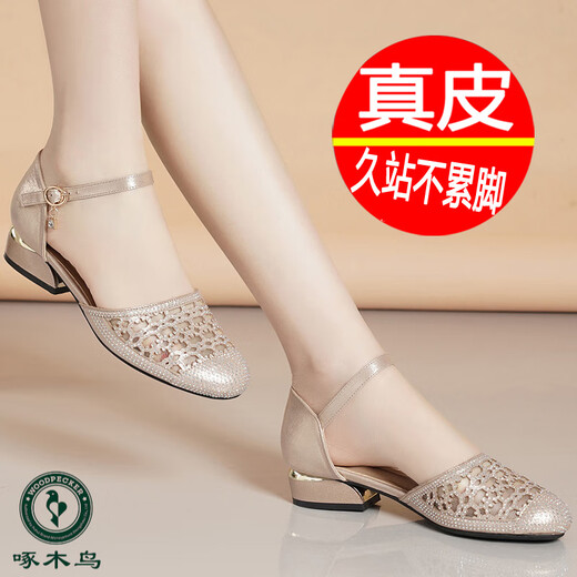 Pájaro carpintero de cuero genuino tacón grueso sandalias de los pies para mujeres zapatos de madre de moda suave zapatos de malla de verano zapatos individuales bajos tacones de punta redonda de punta redonda 699-8 Color de champán 35