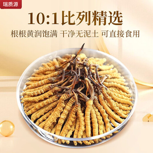 Ruizhiyuan authentique garanti en cordectes garantis nourrissant la santé et la boîte-cadeau à haute altitude pour les parents et les anciens [Boîte-cadeau 30g] véritable cordyceps séché 150 pièces