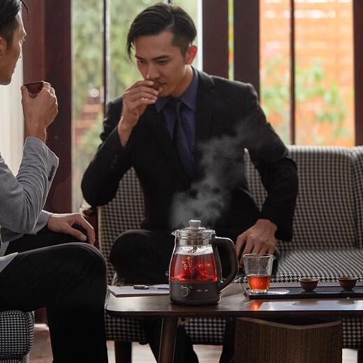 Bear Steam Spray Fully Automatic Tea Maker Small Health Pot Office Home Small Kettle Teapot Thickened Glass Tea Maker Gift Gift ZCQ-A10X1 Knob Control ZCQ-A10X1 1L