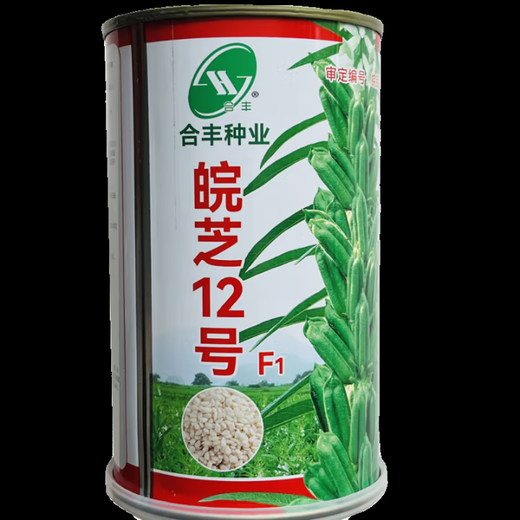 Black sesame seed oil extraction Academy of Agricultural Sciences hybrid high oil stable yield short stem eight-edged white sesame seed base special seed super high sesame seed king original 100g bag
