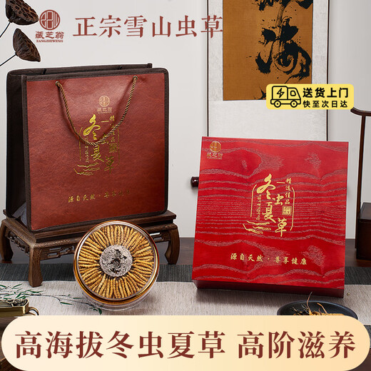 藏芝翁高海拔冬虫夏草精选头茬干虫草高端滋补礼盒送长辈送领导送客户 2根/克共50克【商务送礼，放心品质】