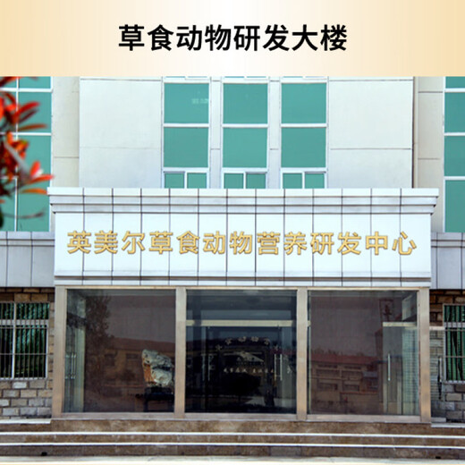 Yingmeier Cattle Feed Premix for beef cattle during the fattening period 5% Special feed additive for cattle during the fattening period A (5% premix for fattening cattle) 20 years of history