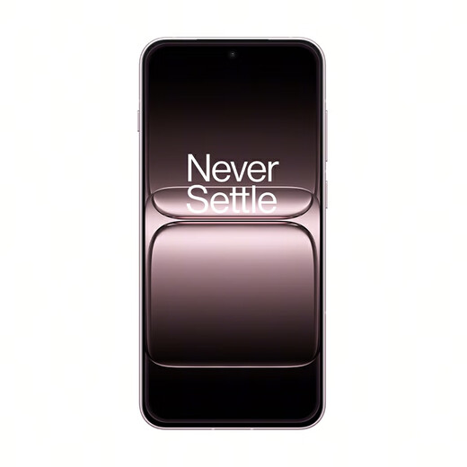 OnePlus National Subsidy OnePlus 13T New 5G Mobile Phone Snapdragon 8 Extreme Edition Glacier Battery OPPO Super Performance Small Straight Screen Punch Fan丨12GB+256GB