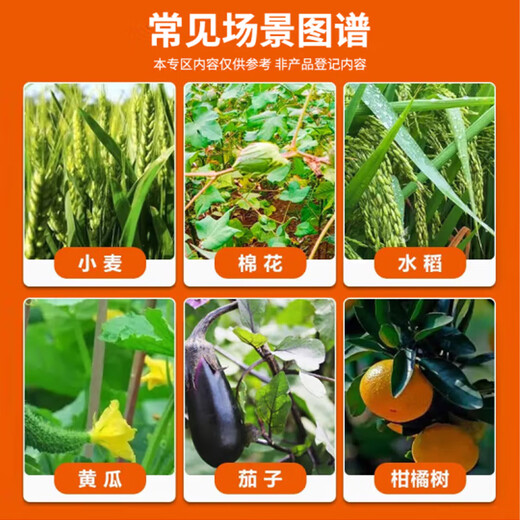 1.8% Compound Sodium Plant Growth Regulator Cotton, Tomato, Vegetable and Fruit Disease Resistance Mitigation Pesticide Pesticide Mitigation 1000g*1 Bottle