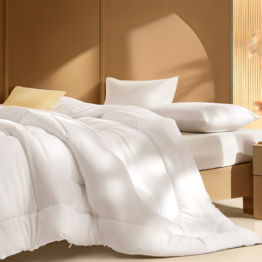 Fu'anna, supple fiber quilt winter quilt core, single winter thick quilt in student dormitory, about 4.2 Jin [Jin equals 0.5 kg] 152*210cm