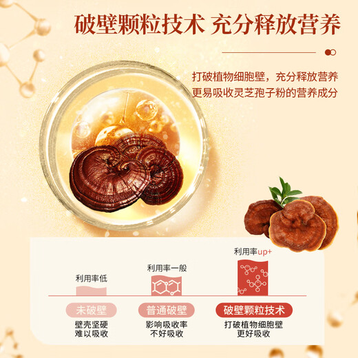Cao Jinghua Breaking Wall Ganoderma Lucidum Spore Pulver verbessert Immunitätsgeschenke Geschenke für Älteste Eltern High-End-Geschenke Vatertag Geschenke [Upgrade Geschenkbox] Ganoderma lucidum spore powder 3g * 32 Taschen