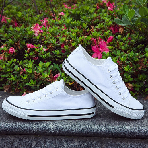
European Pastoral Couple Canvas Shoes Men's 2025 Summer New Low Top Casual Sports Shoes Men's Trendy and Versatile (PJ) 6621 White 44