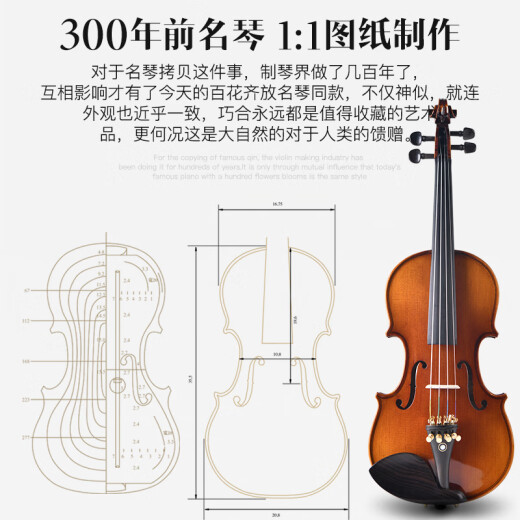 莱斯曼德成人儿童专业考级独奏演奏小提琴纯手工进口欧料小提琴M006A  4/4