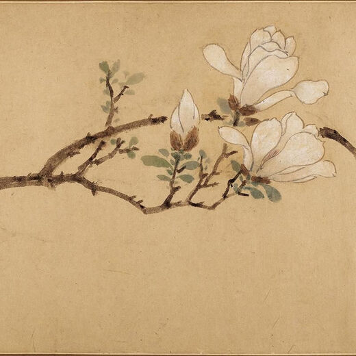 溥畔明文徵明白玉兰图卷花鸟画微喷仿古复制品新中式装饰画卷轴挂画 明文征明白玉兰图卷28X256厘米1 专用宣纸喷绘乳白色横轴装裱