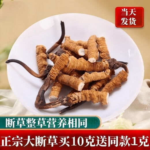 冬虫夏草断草正宗藏区头茬虫草家庭装自食首选10克送1克多买多送 藏区精品大断草买10克送1克
