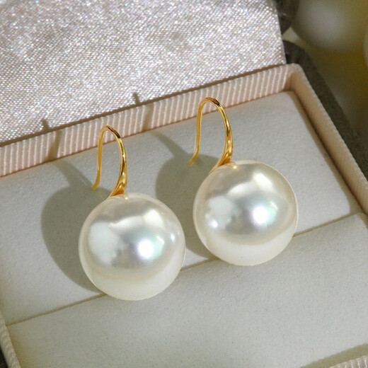 Yican Shijia Zhengyuan Imitation Pearl Earrings for Women, Simple and High-end Earrings 2025 New Hot Style and Versatile Earrings Zhengyuan Pearl Earrings-14mm
