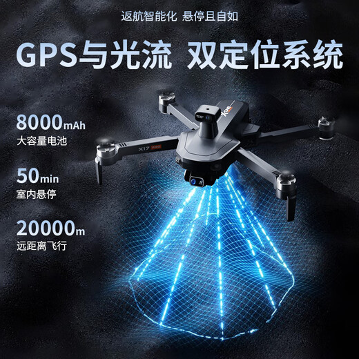 Skyway Eagle Drone Aerial Photography.