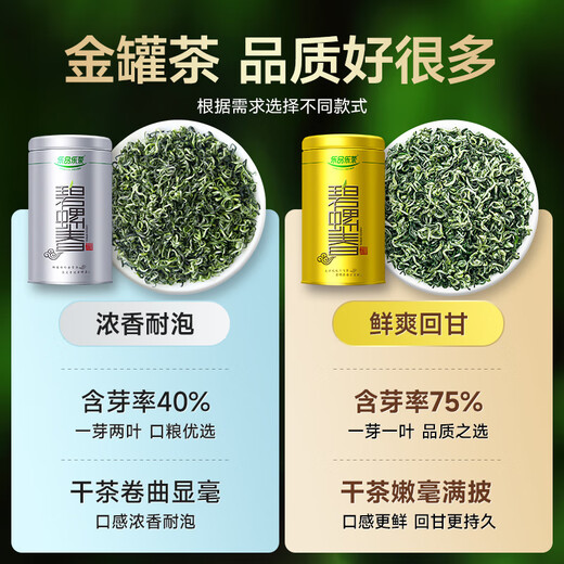 Lepin le Tee Biluochun Grüner Tee 2025 Neue Tee vor dem Ming Ming Sonderer Frühlings Tee Tender Sprossen Tee Kaltbrauen Tee Reliefe Sommer 250g Geschenkstüte