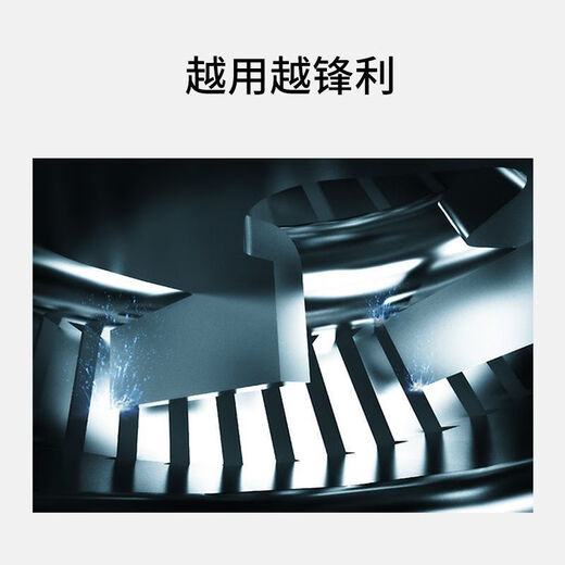 适用飞科剃须刀刀头刀片2头刮胡刀FS711 719 821 871 873 875配件 2个刀头(包含2刀2网)R6