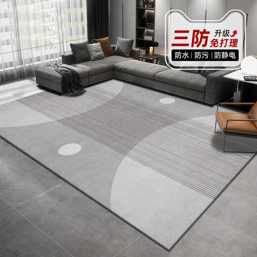 Tapis de salon wenshiou Pas de lavage et facile à prendre soin de style minimaliste 2025 Nouveau canapé de luxe clair