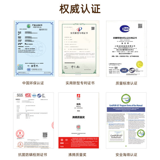 龙凤床垫 曙光 静音独立弹簧席梦思可全拆护脊透气卧室1.8×2米双人床垫 曙光A 20cm 正面适中 1350*2000