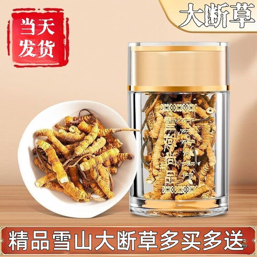 冬虫夏草断草正宗藏区头茬虫草家庭装自食首选10克送1克多买多送 藏区精品大断草买10克送1克