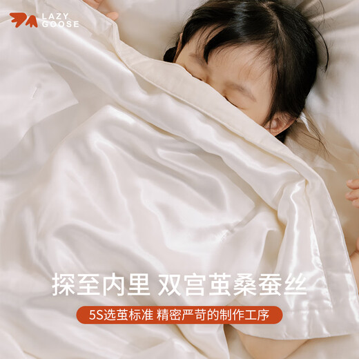 LAZY GOOSE懒鹅真丝棉纱布双面儿童被100%桑蚕丝新生儿毯子婴儿四季被子