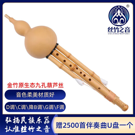 丝竹之音金竹原九孔葫芦丝成人演奏通用型名族管弦乐器 D调(小D)+无教材7