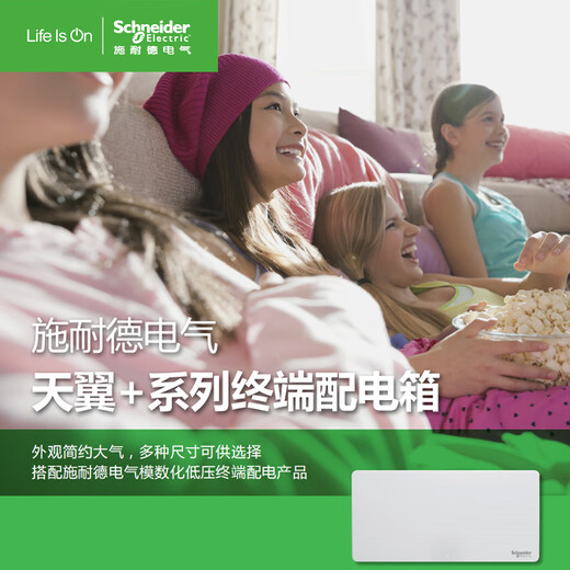 Schneider Electric Tianyi terminal distribution box 8/12/16/18/22/26/32/40/54 circuit box concealed installation Tianyi single row 8 circuit concealed installation