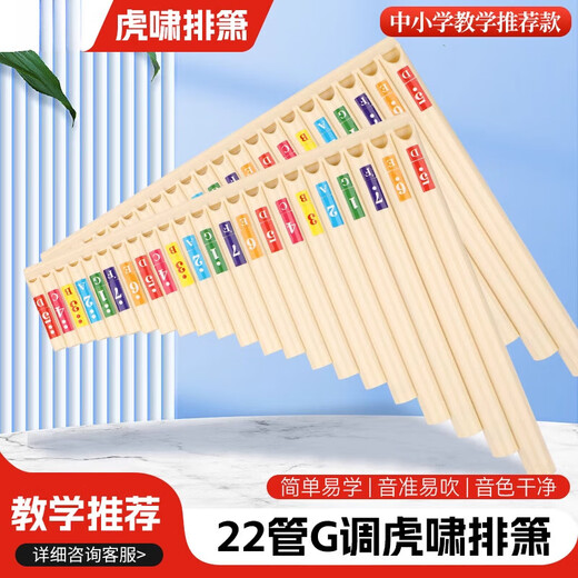 Yuan Tribe 22-Tube G-Stube Pan Flöte Spiele Kinder Erwachsene Grund- und Sekundarschüler Anfänger Ethnische Musikinstrument 22-Röhrchen G-Tube Off-White [Blowing Tube + Accessoires]