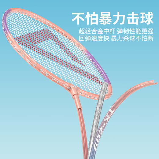 Raquette de badminton PEAK, ultra-légère, équilibre offensif et défensif, raquette d'entraînement pour étudiant adulte, résistante aux coups, alliage d'aluminium pour débutants, anti-casse, résistante aux coups, violet et vert, 6 balles gratuites, 2 colles à main, ensemble de raquettes de badminton