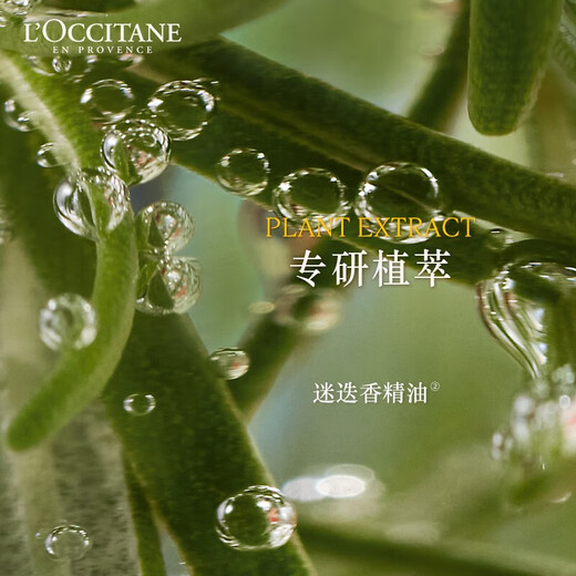 L'ccitane strong cabello raíz champú 500ml gran capacidad regalos de venta directa antidelete esponjes